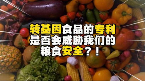 轉基因食品的專利是否會威脅到我們的糧食安全