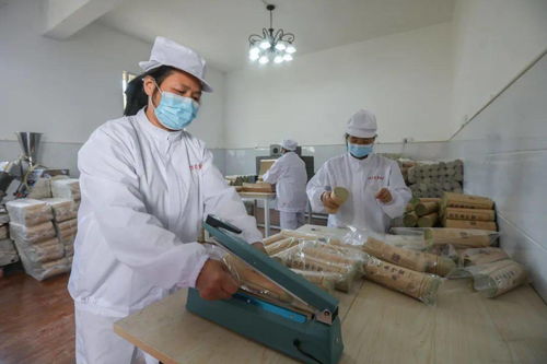 端穩(wěn)就業(yè) 飯碗 ,脫貧更有底氣